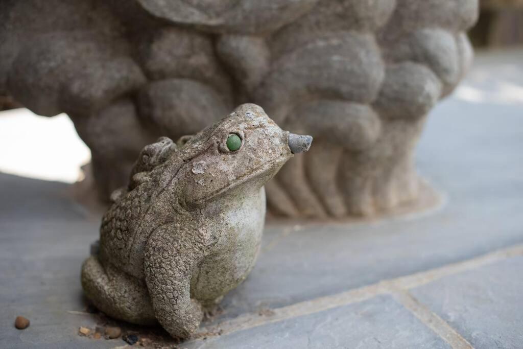 Frogs Bottom Retreat Faversham & Canterbury, Kent Kültér fotó